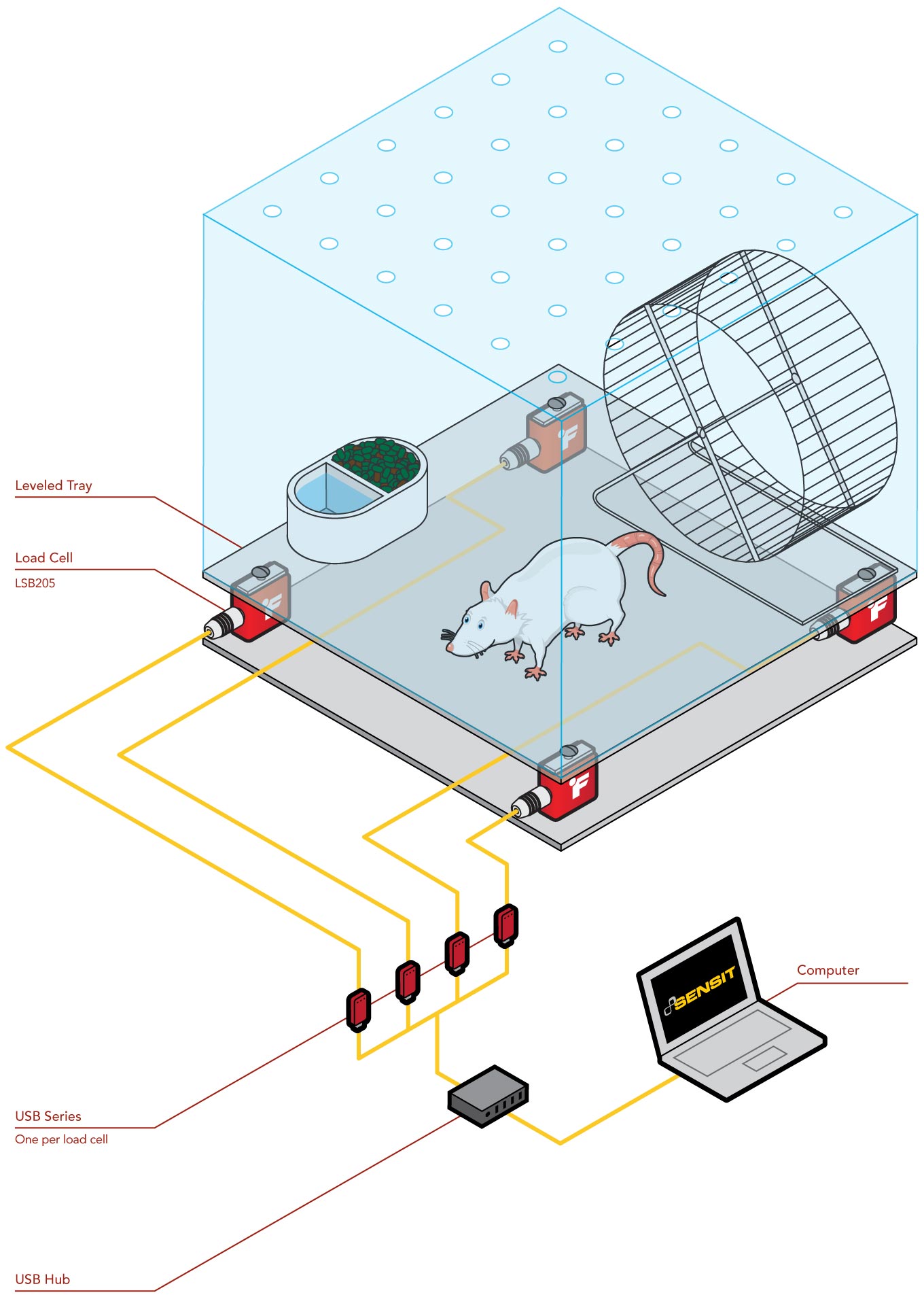 Monitoreo conductual de sujetos