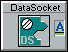 DataSocket