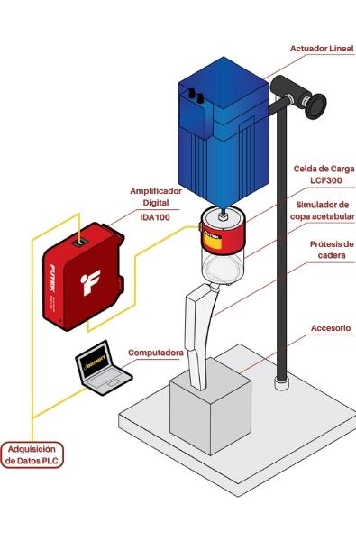 Prueba de fatiga en prostético de cintura